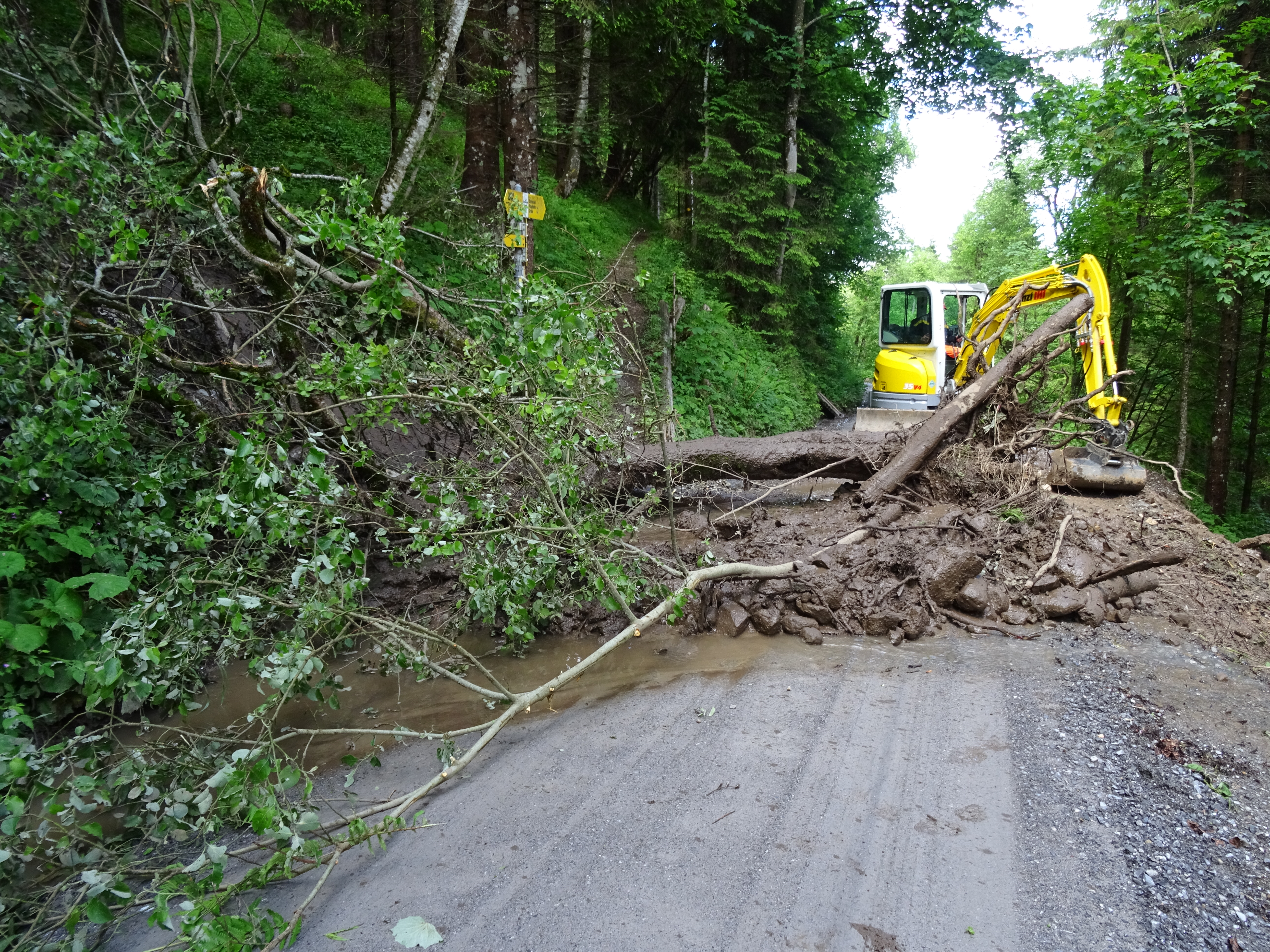 Erdrutsch Schwendiweg