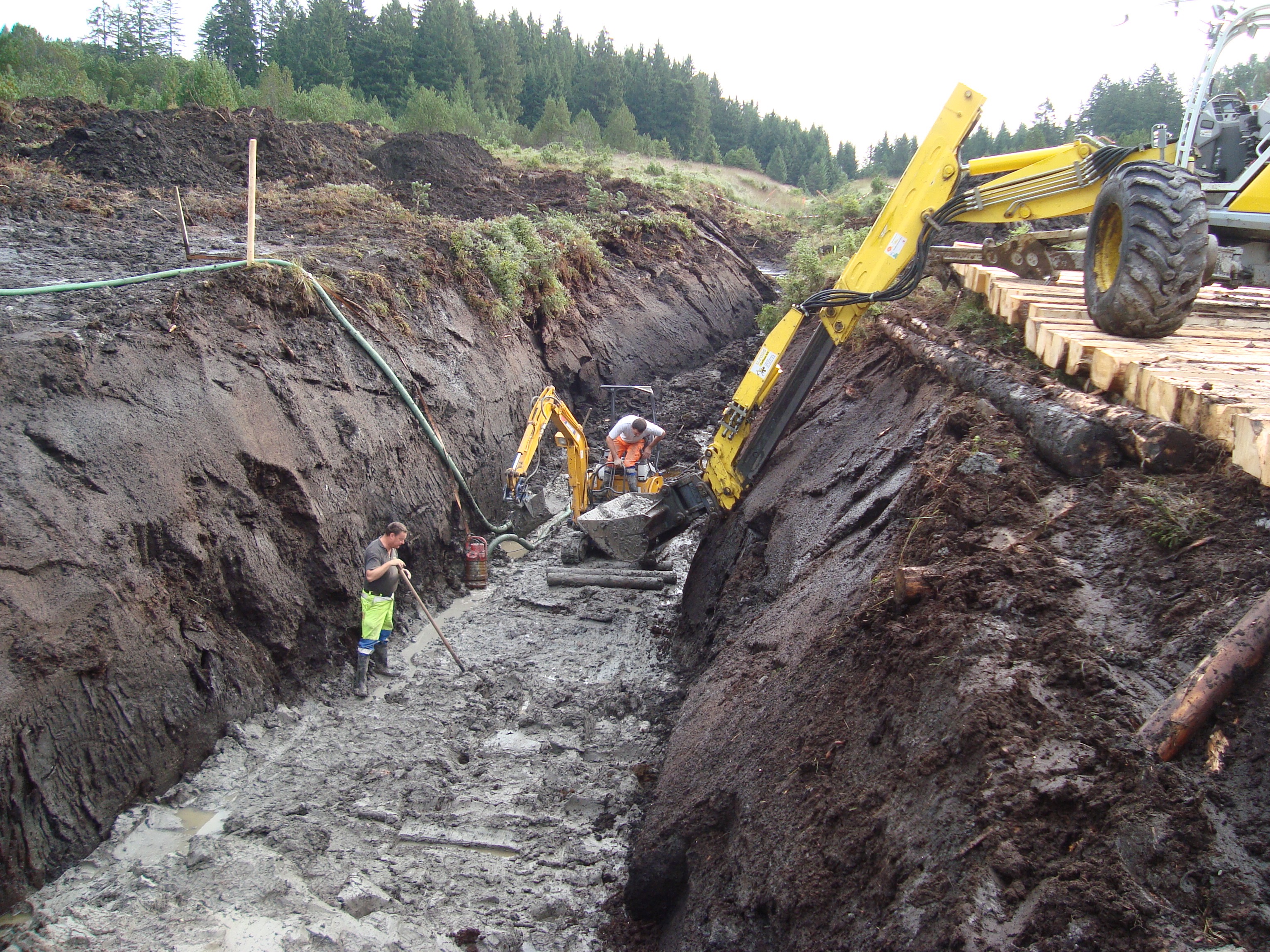 Renaturierung Hochmoor Gamperfin, Grabserberg