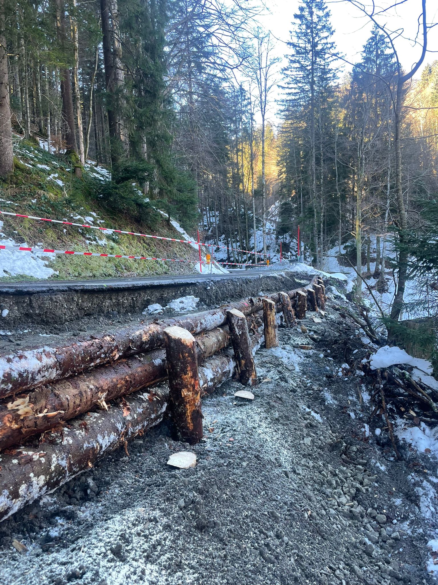 Böschungssicherung Bluetlosen