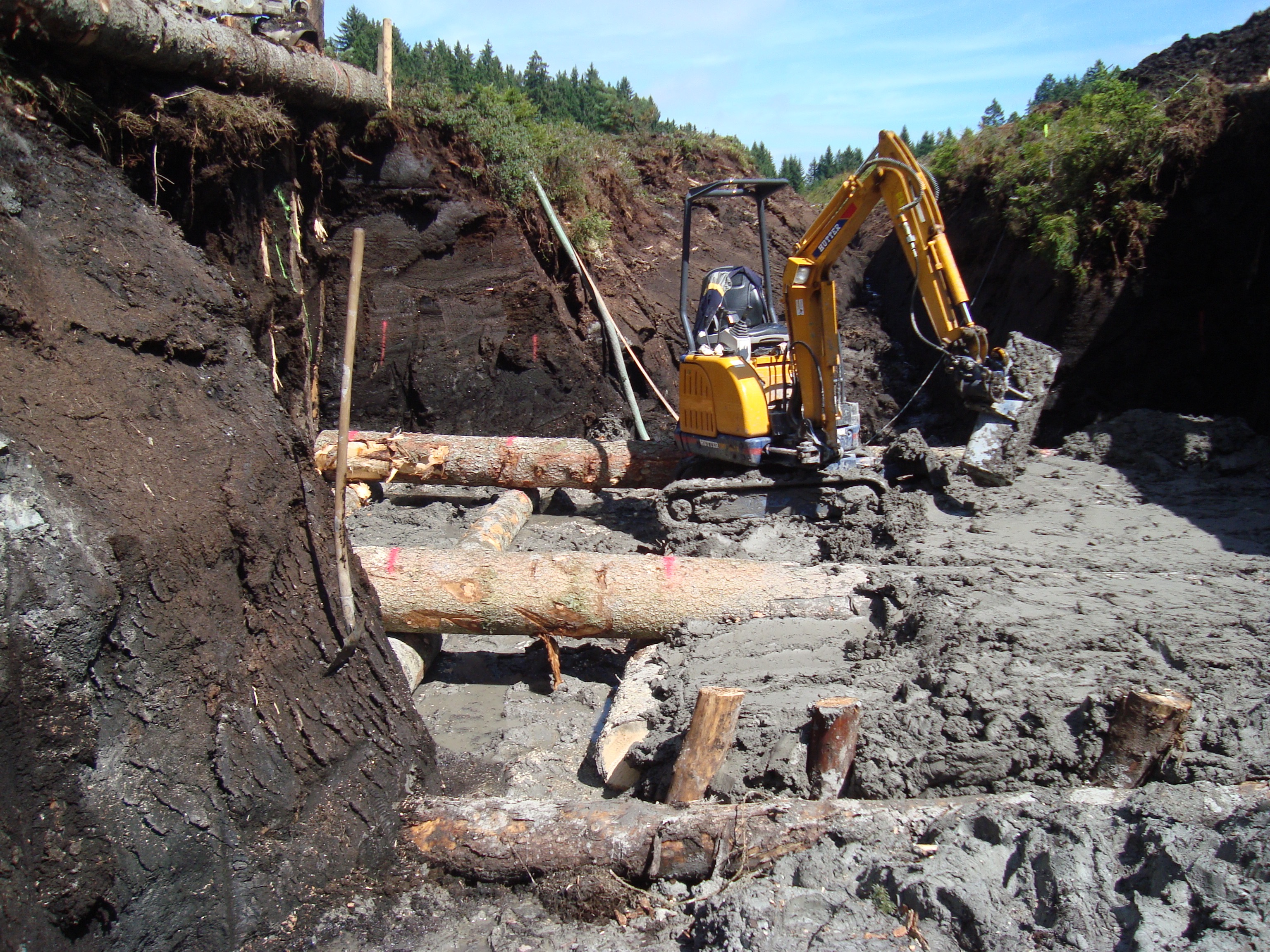 Renaturierung, Wald und Gewässer