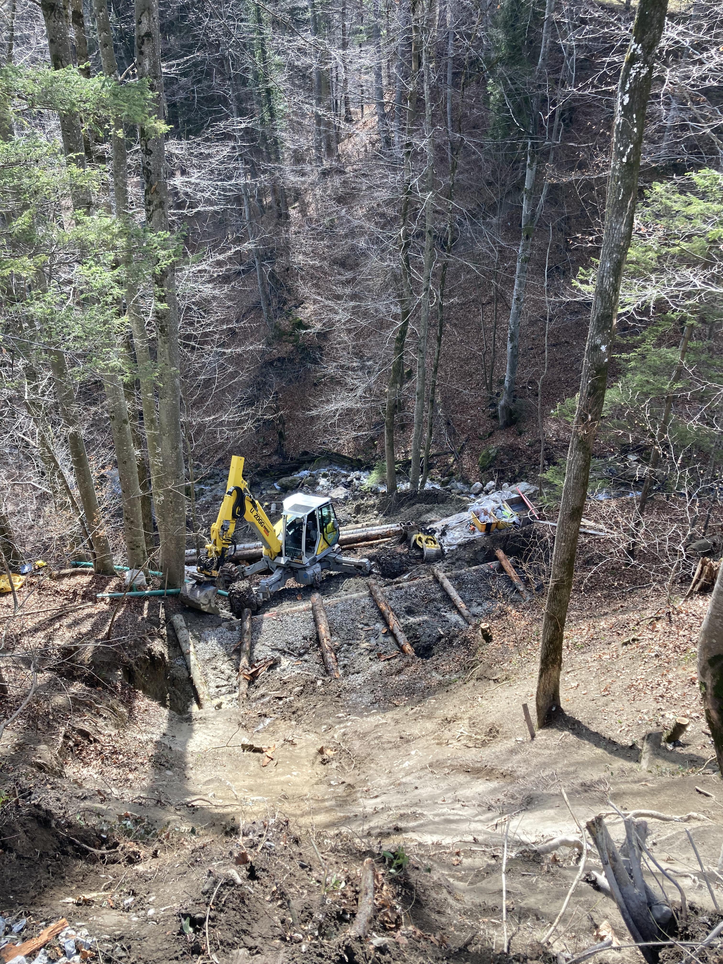 Renaturierung, Wald und Gewässer